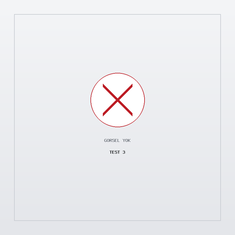 Test 3 — Görsel yok